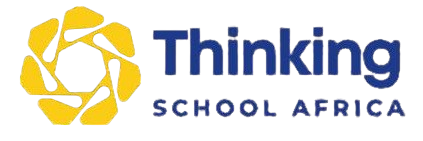 ebanks technologies, ebankstech, website designer, website developer, website redesign, website revamp, website design agency in nigeria, seo optimization, efe bankole, thinking school africa